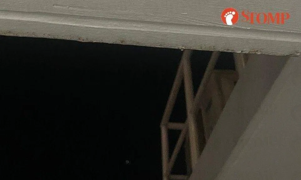 "When they watered the plants, the dirty water would flow down to the lower floors and dirty our clothes hanging outside," said the Stomper.