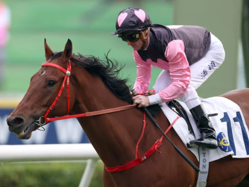 Beauty Alliance has won one race in seven starts. It was in a Class 4 (1,600m) at Sha Tin on Dec 15 when ridden by Zac Purton. The John Size-trained galloper contests the Class 4 Lotus Handicap (1,800m) at Sha Tin on Feb 16.
