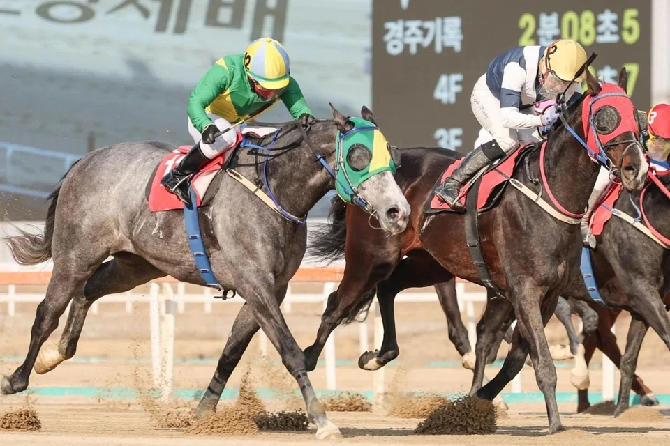 Success Baekpa (Seo Seung-un) on the outside, just holding off the fast-finishing Speed Young (You Hyun-myung) in the Group 3 Herald Business (2,000m) in Seoul on March 16. The duo will meet again this Sunday. KOREA RACING AUTHORITY 