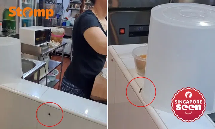 Cockroaches at Yishun stall, SFA investigates