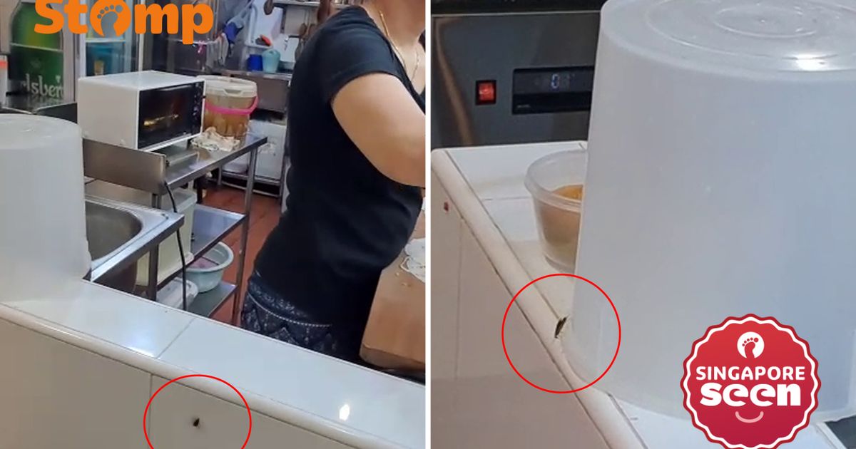 Stomper concerned to see cockroaches at Yishun stall, SFA looking into case