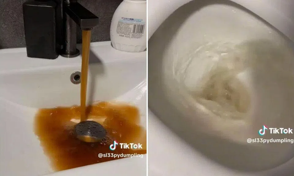 A resident said the discoloured water that flowed from her taps emitted a metallic scent and appeared intermittently throughout the day.