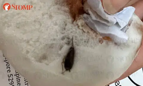 Tampines Mall stall asks Stomper who found cockroach in char siew bun to contact them directly