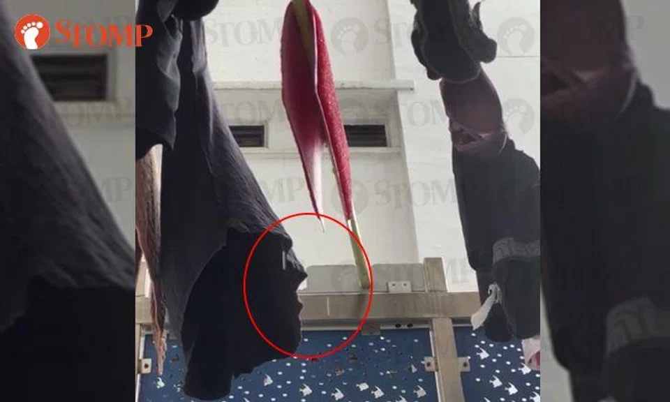 It's always 'raining' at Geylang Bahru block -- no thanks to neighbour leaving wet laundry out