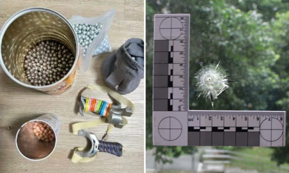 Man charged after allegedly using catapult to shoot birds in Jurong ...