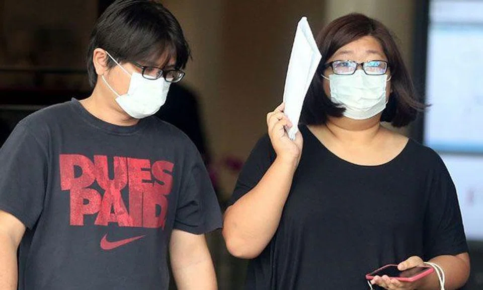 Liu Chin Guan, 36, (left) and his wife, Angela Lim Xiu Yan, 32, were sentenced to jail and fined for running a vice website.