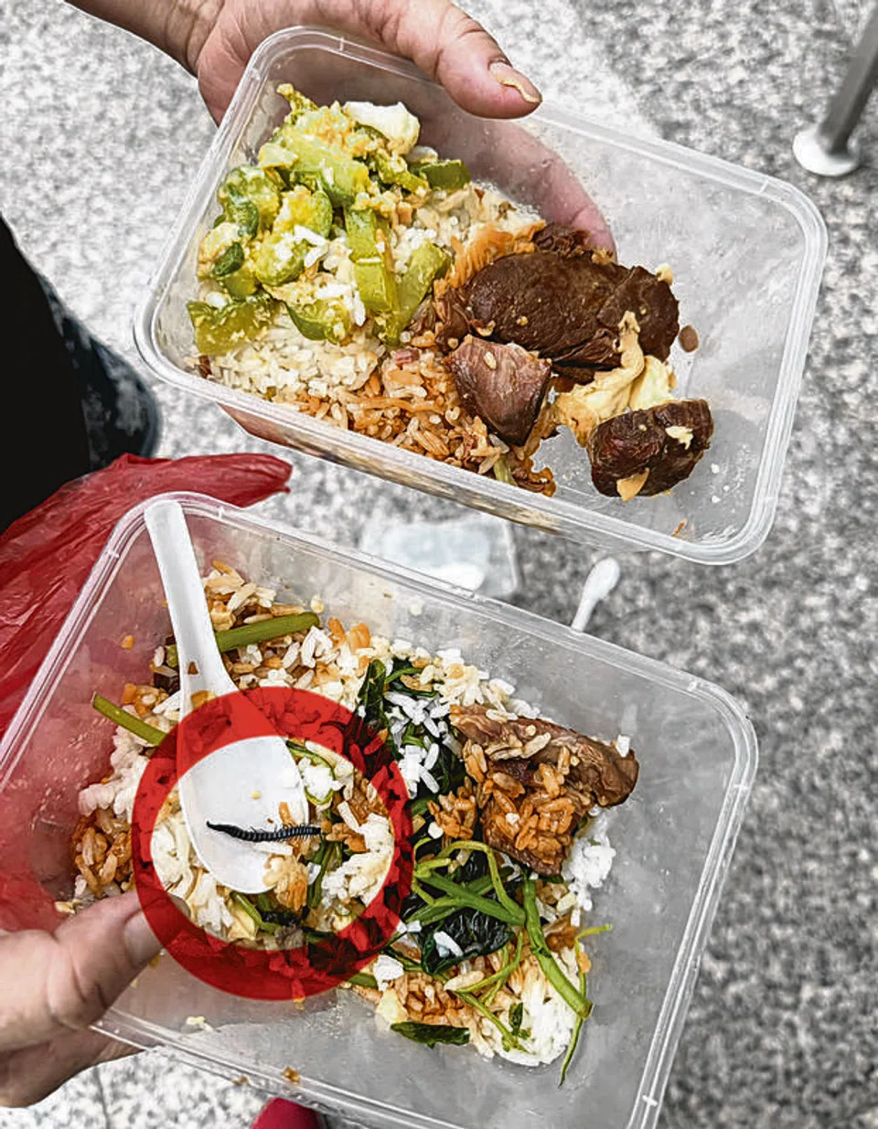 ‘If it’s fine, then you eat’: Customer challenges mixed rice worker after finding 4cm-long centipede in food