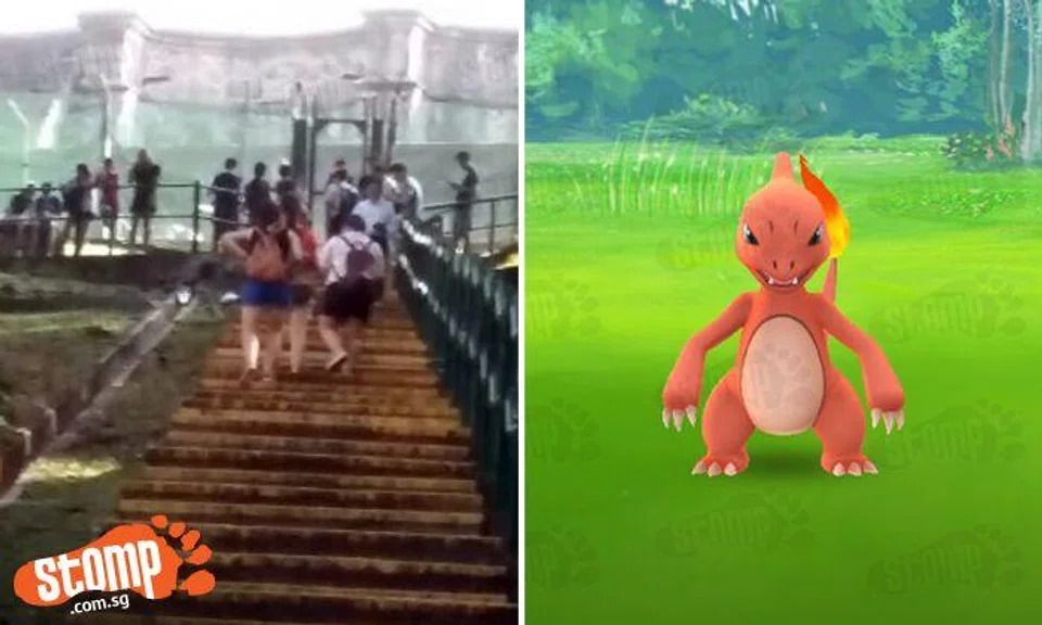 Not even a long flight of stairs can deter these Pokemon Go players at Pearl's Hill City Park