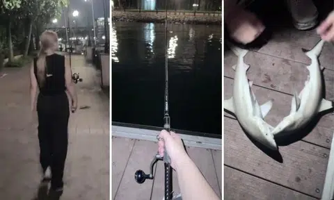 Woman caught sharks while fishing on Sentosa