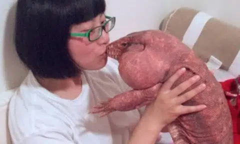 Fear of lizards is non-existent for this woman who keeps a dog-sized one as a pet