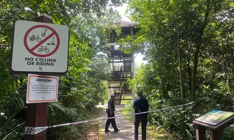 Man shot by police at Pasir Ris Park: He appeared agitated and wanted to attack others