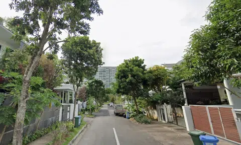 Worker dies in tree-felling accident in Katong