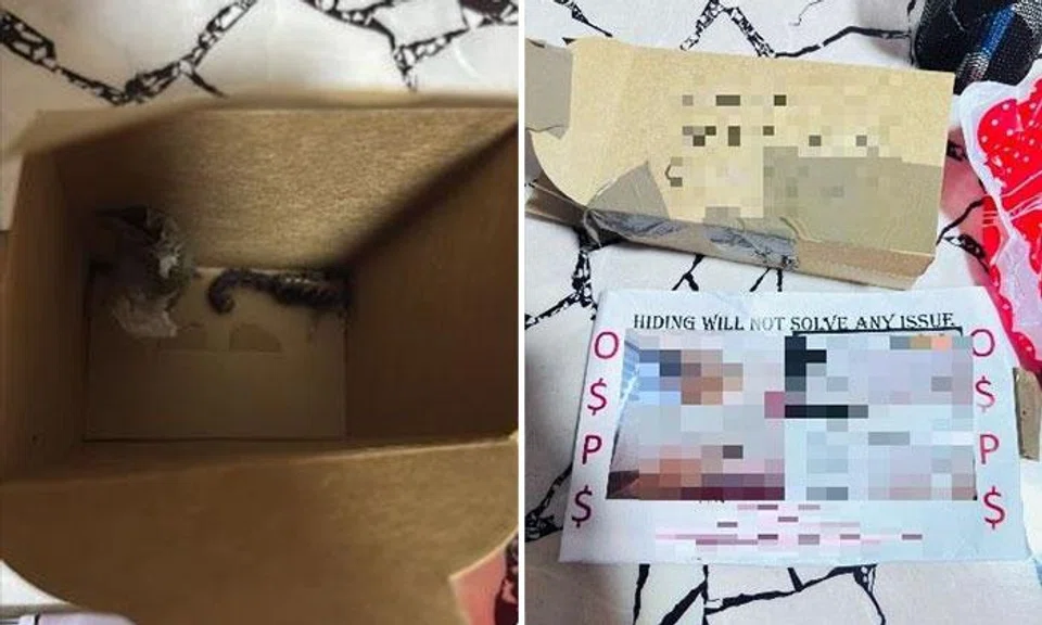Woman, 25, arrested for sending debtor's notes, dead scorpion and live spider to Punggol units