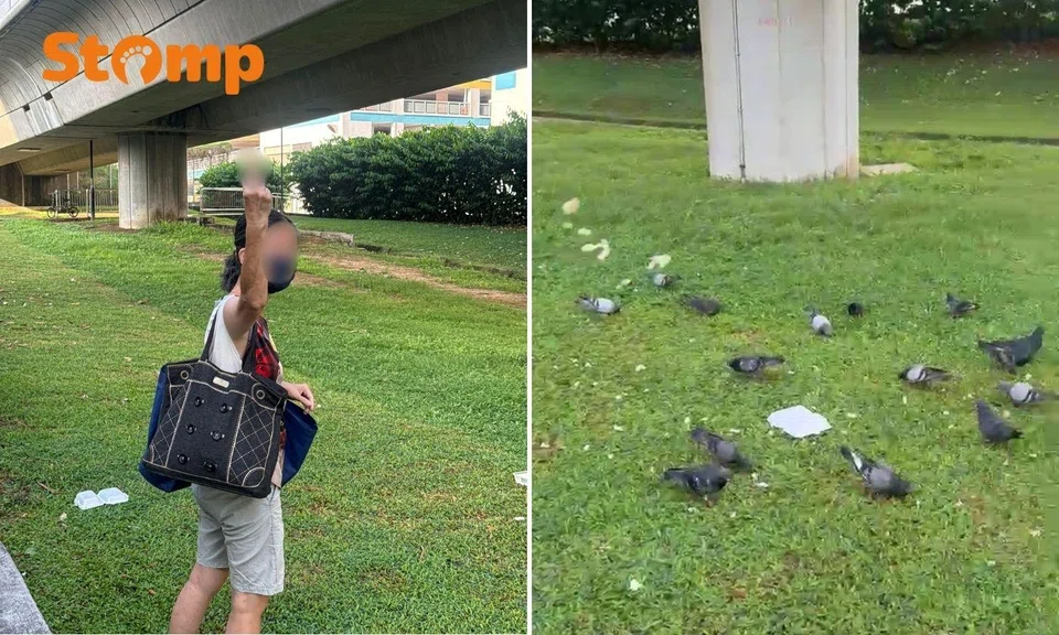 cck pigeon feeder flashes middle finger and splashes water at man