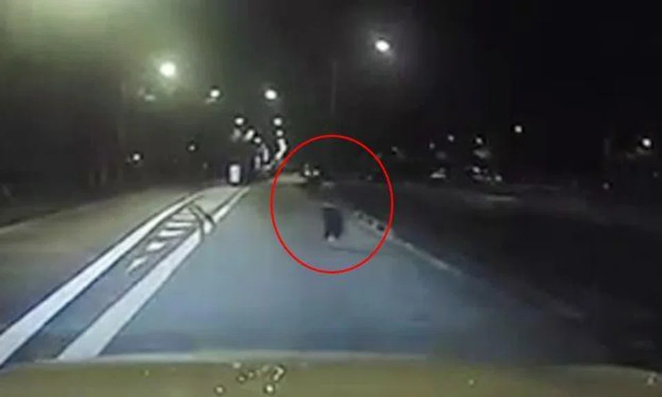 Woman running across road, look how close you came to being run over at Jalan Ahmad Ibrahim
