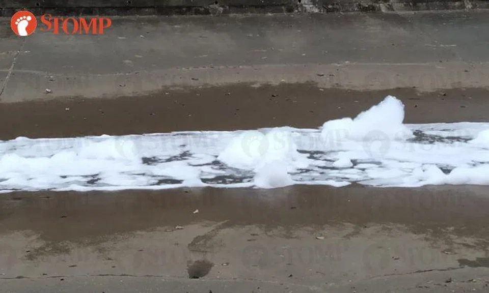 Investigation in progress after foamy discharge seen in Bedok Canal: PUB