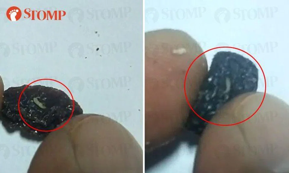 Stomper finds maggots in box of raisins, gets refund and Ferrero Rocher chocolates from supermarket
