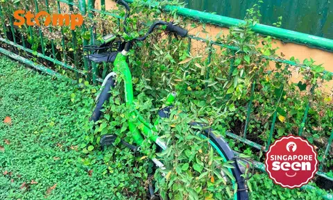 Abandoned Anywheel bicycle in Sungei Kadut has vines growing around it