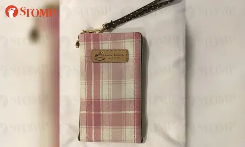 Have you seen this pink Uma Hana purse?