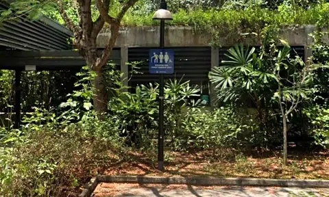 Youth got 16-year-old girl drunk, dragged her into park toilet and raped her before friends joined in