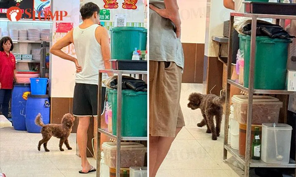 Man brings unleashed dog to Ang Mo Kio coffee shop: 'It's so unhygienic'