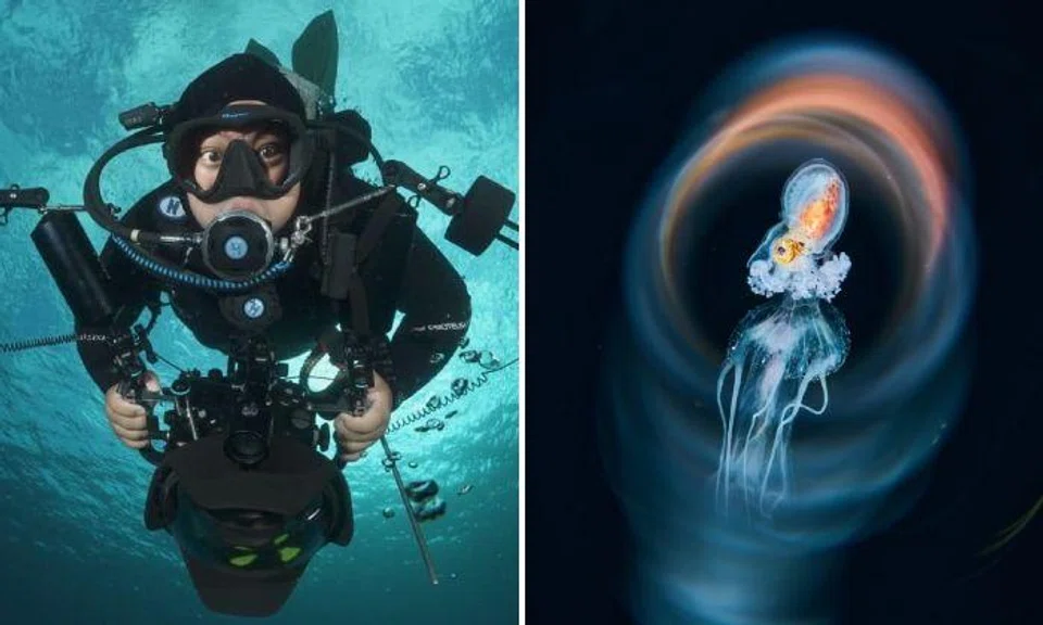 S'porean underwater photographer wins Asia Dive Expo's Photo of the Year for 2nd consecutive time