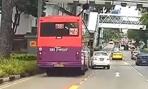 How on earth did Totoya driver not see SBS bus before making turn along New Bridge Road?