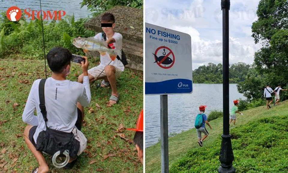 Youths flee after man catches them fishing illegally at MacRitchie and calls PUB "on the spot"