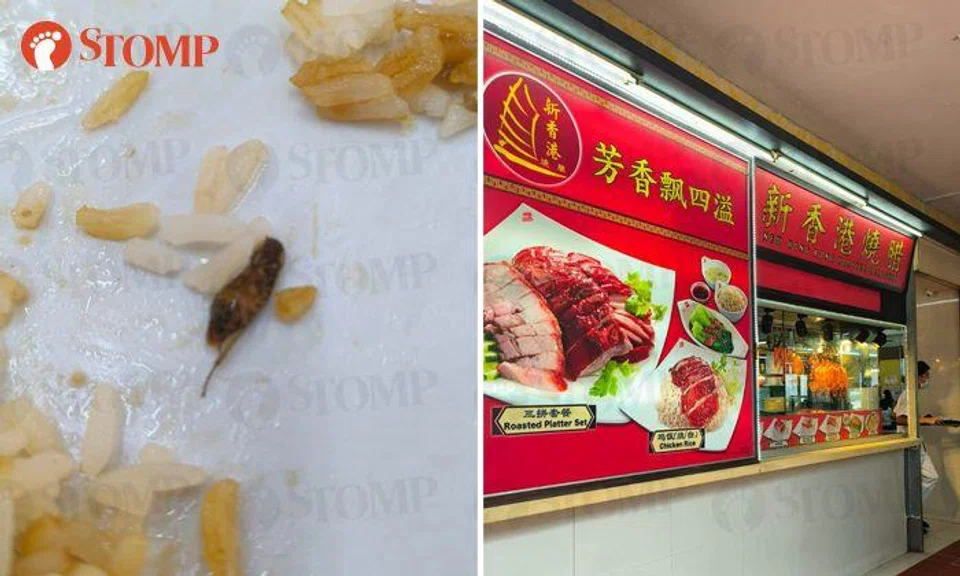 Staff says rice was 'from last night' after diner finds cockroach in her meal, SFA looking into case