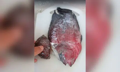 Man in Malaysia gets blasted by netizens after frying $908 luohan to eat