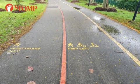 Stomper finds symbols on shared path at East Coast Park confusing: They are part of NParks pilot