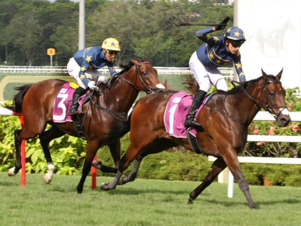 Lim's Kosciuszko (Marc Lerner) posting his last Singapore win in the Group 1 Queen Elizabeth II Cup (1,800m) on Sept 7. Stablemate Lim's Saltoro (Wong Chin Chuen) ran third. Both are still trained by Daniel Meagher, but in Australia.