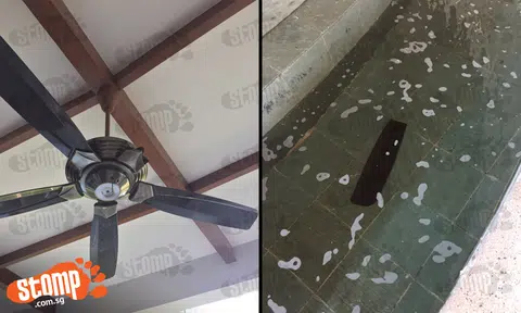 Broken fan blade nearly hits golfers at Kranji NSRCC: "We are thankful to be alive"
