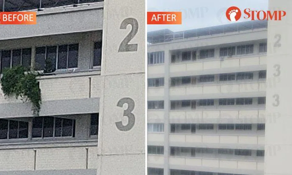 Simei resident removes potted plants from parapet after Stomper's concern, town council's advice