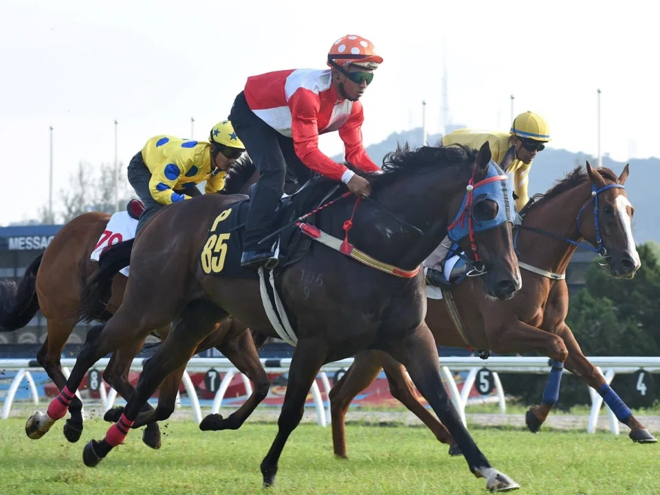 The Ricky Choi-trained Platinum Fort, with Nuqman Rozi aboard, coming with a well-timed run to claim the first of seven trials at Sungai Besi on Feb 25. The winning time was 1min 0.69sec for the 1,000m.
