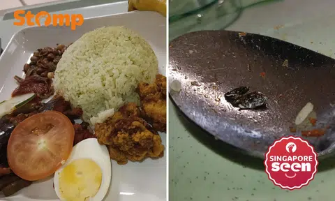 patient claims he found cockroach in hospital meal, but it’s ikan bilis