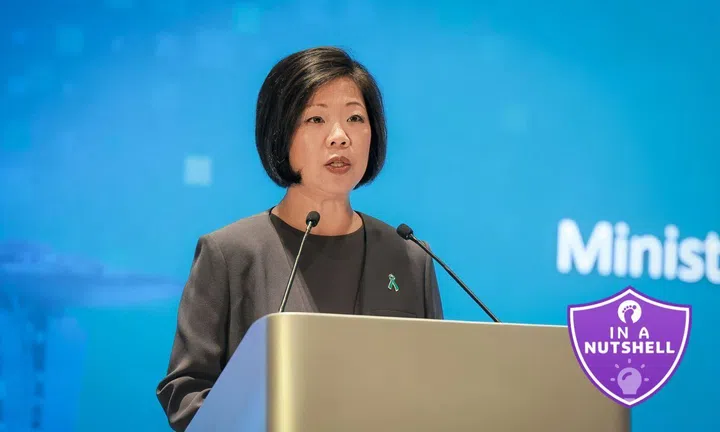 Sim Ann Senior Minister of State