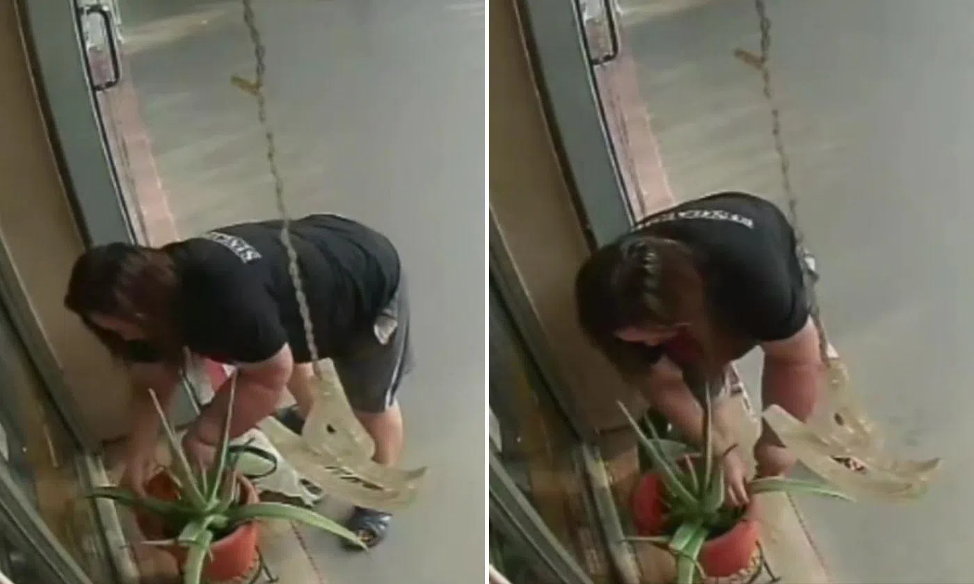 Woman ‘butchers’ aloe vera plant outside Woodlands beauty shop, walks ...