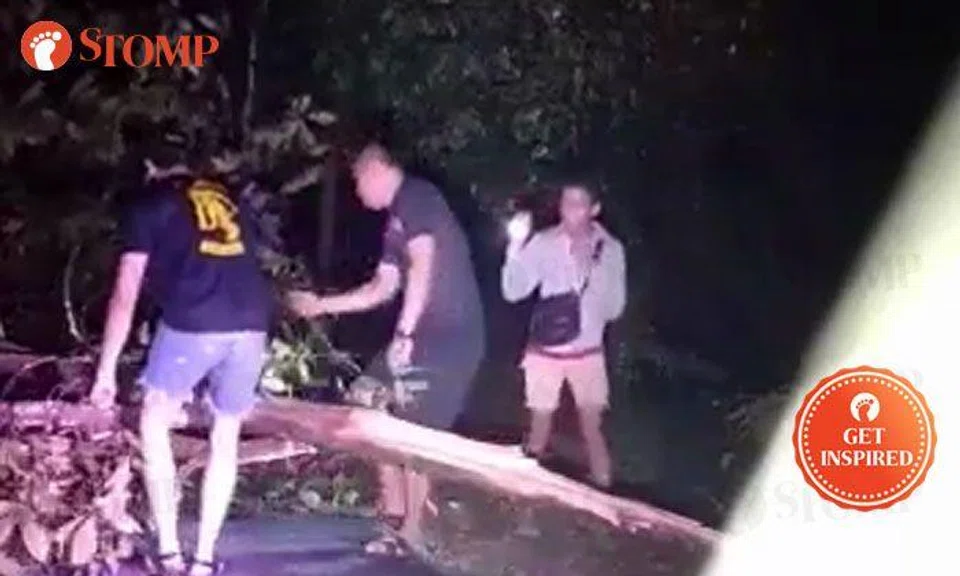 Well done! 3 e-scooter riders move fallen tree out of the way at Sembawang park