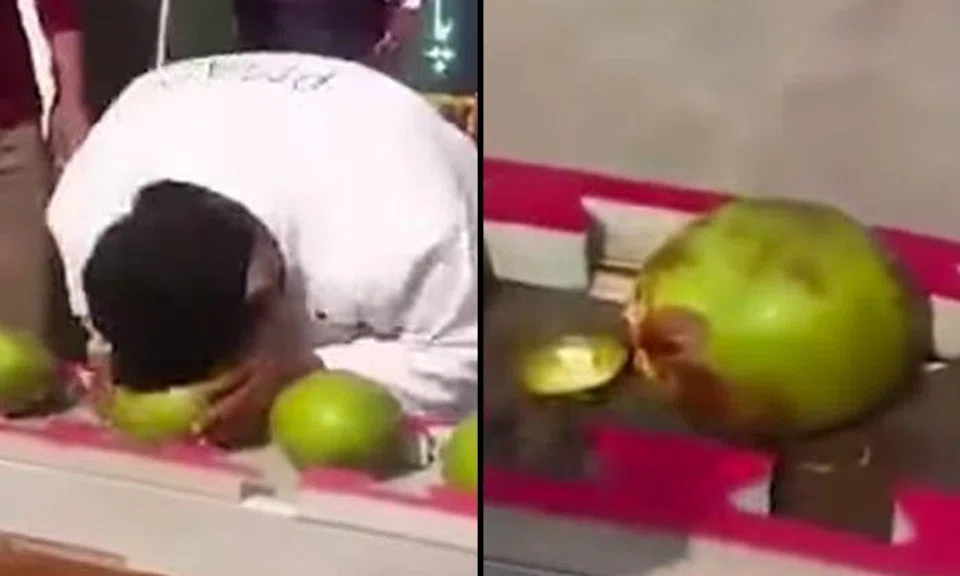 Pakistani man smashes 43 coconuts in under 60 seconds using head, sets new world record