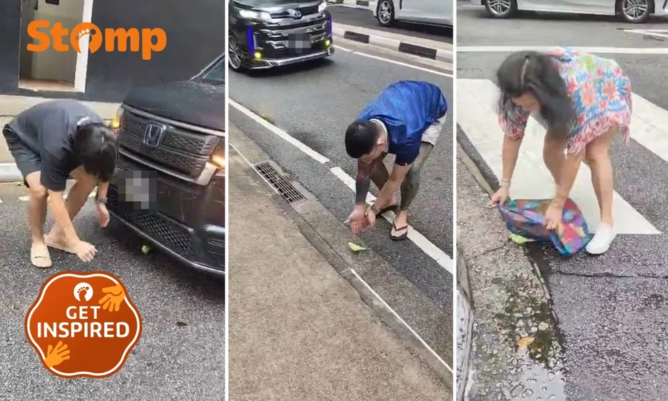Strangers rescue bird together on Orchard Road
