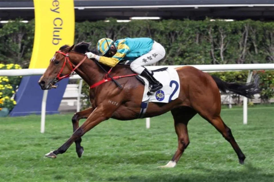 Moments In Time (Ellis Wong) motoring home strongly to win at Happy Valley on March 13, 2024. Zac Purton will take over the reins in Race 4 on Feb 5.