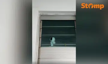 man rubbish Sengkang neighbour dispute PMAs