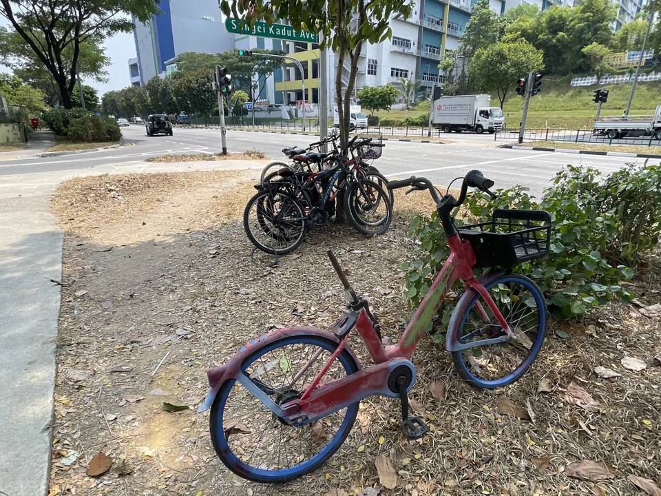 Vines grow around abandoned Anywheel bicycle in Sungei Kadut