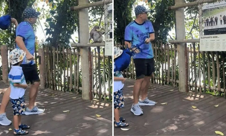 The video shows a man swinging a bag at a macaque at the Singapore Zoo. He misses the animal, and the bag hits his child in the face instead.
