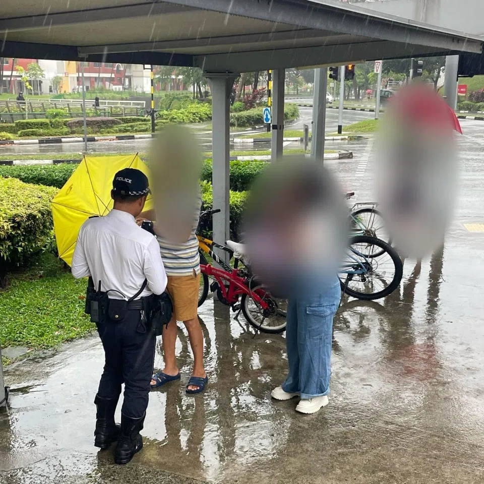 Those found guilty of failing to conform to the red light signal at a pedestrian crossing will be fined $50.