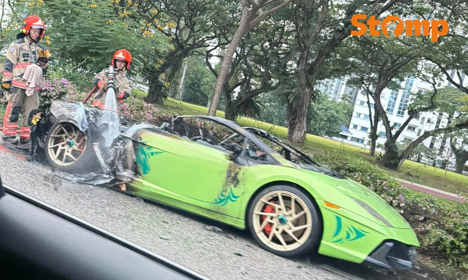 Lamborghini fire on ECP causes traffic jam