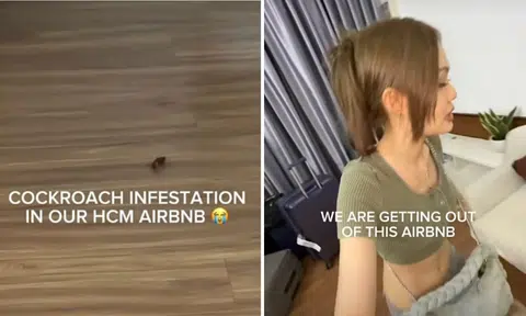 Ho Chi Minh Airbnb cockroaches