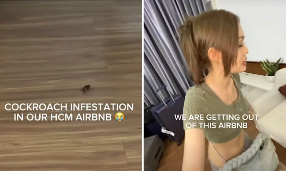 Ho Chi Minh Airbnb cockroaches
