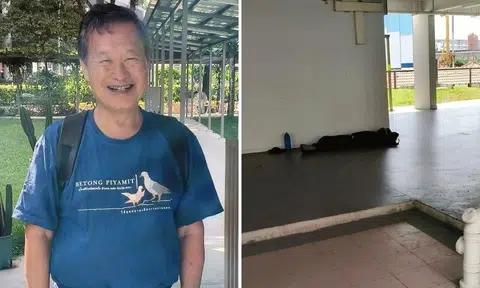 Tan Kin Lian says resting foreign workers look 'homeless', netizens rally to defend them